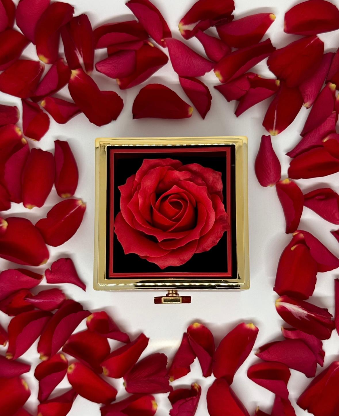 Rose Giftbox With Necklace, Red box